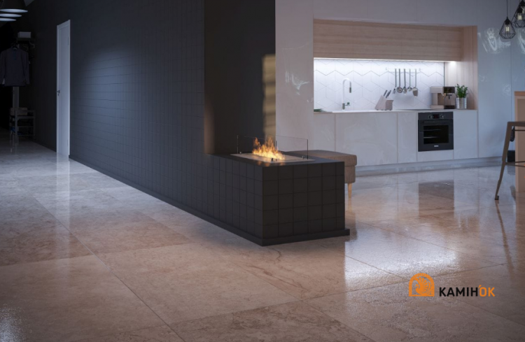 Фото3.БІОКАМІН INFIRE INSERT 600